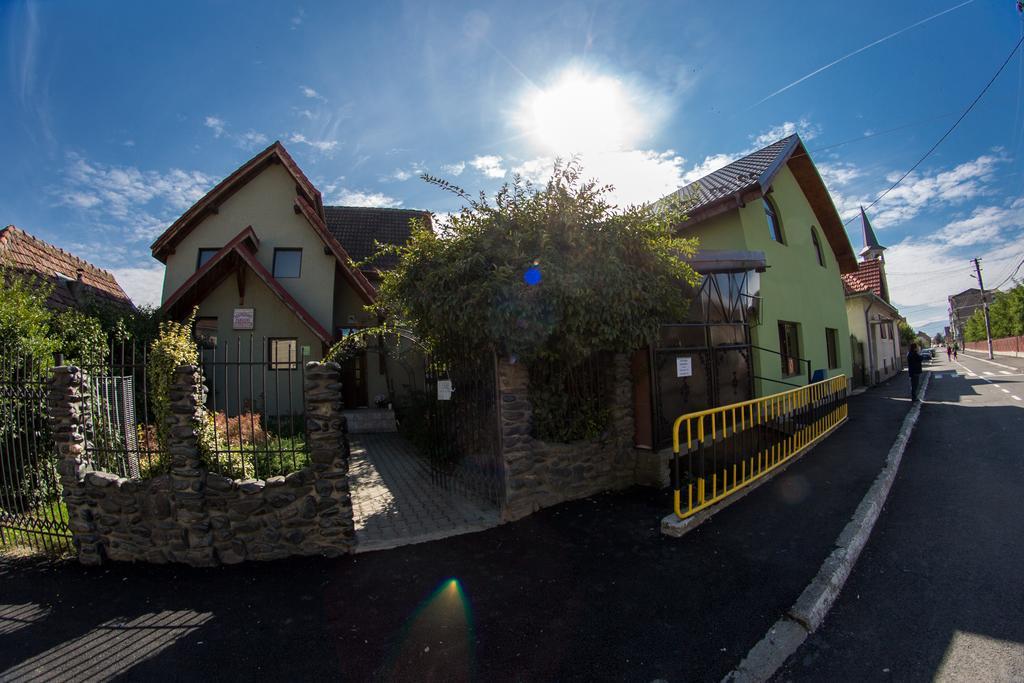 Pensiunea Noema Avrig Exterior foto